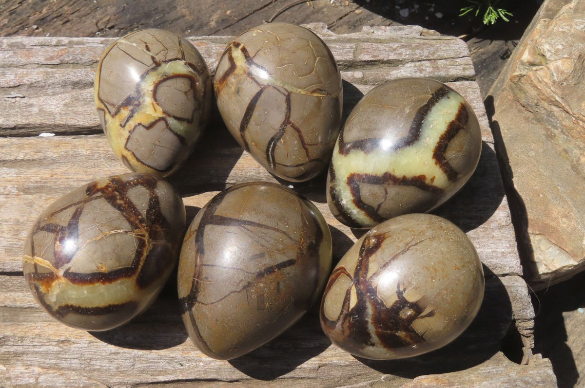 Polished Large Septerye Eggs - Sold Per Item - From Madagascar - Toprock Gemstones and Minerals 