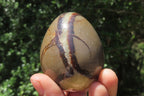 Polished Large Septerye Eggs - Sold Per Item - From Madagascar - Toprock Gemstones and Minerals 