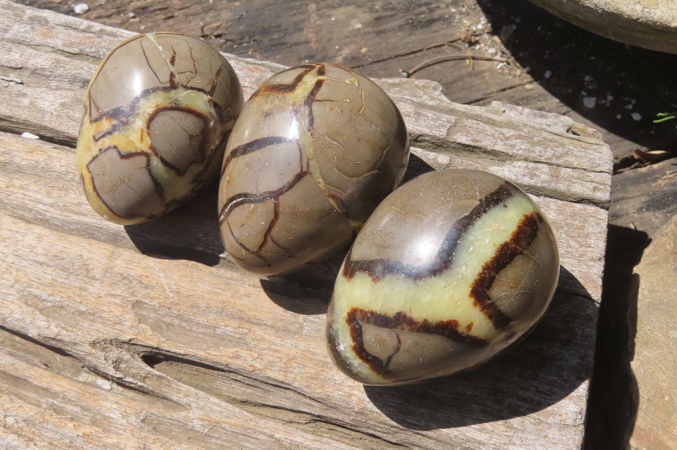 Polished Large Septerye Eggs - Sold Per Item - From Madagascar - Toprock Gemstones and Minerals 