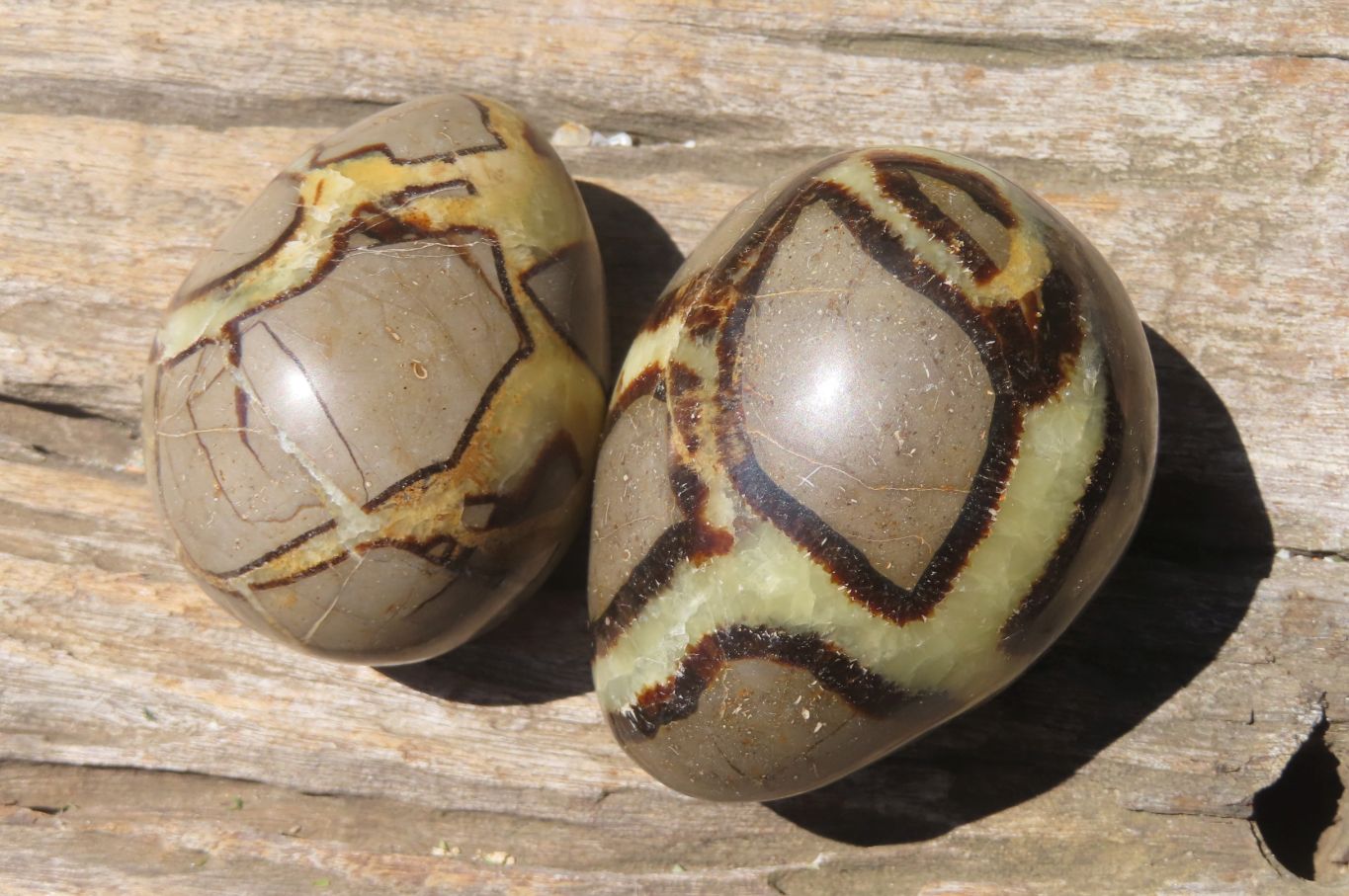 Polished Large Septerye Eggs - Sold Per Item - From Madagascar - Toprock Gemstones and Minerals 