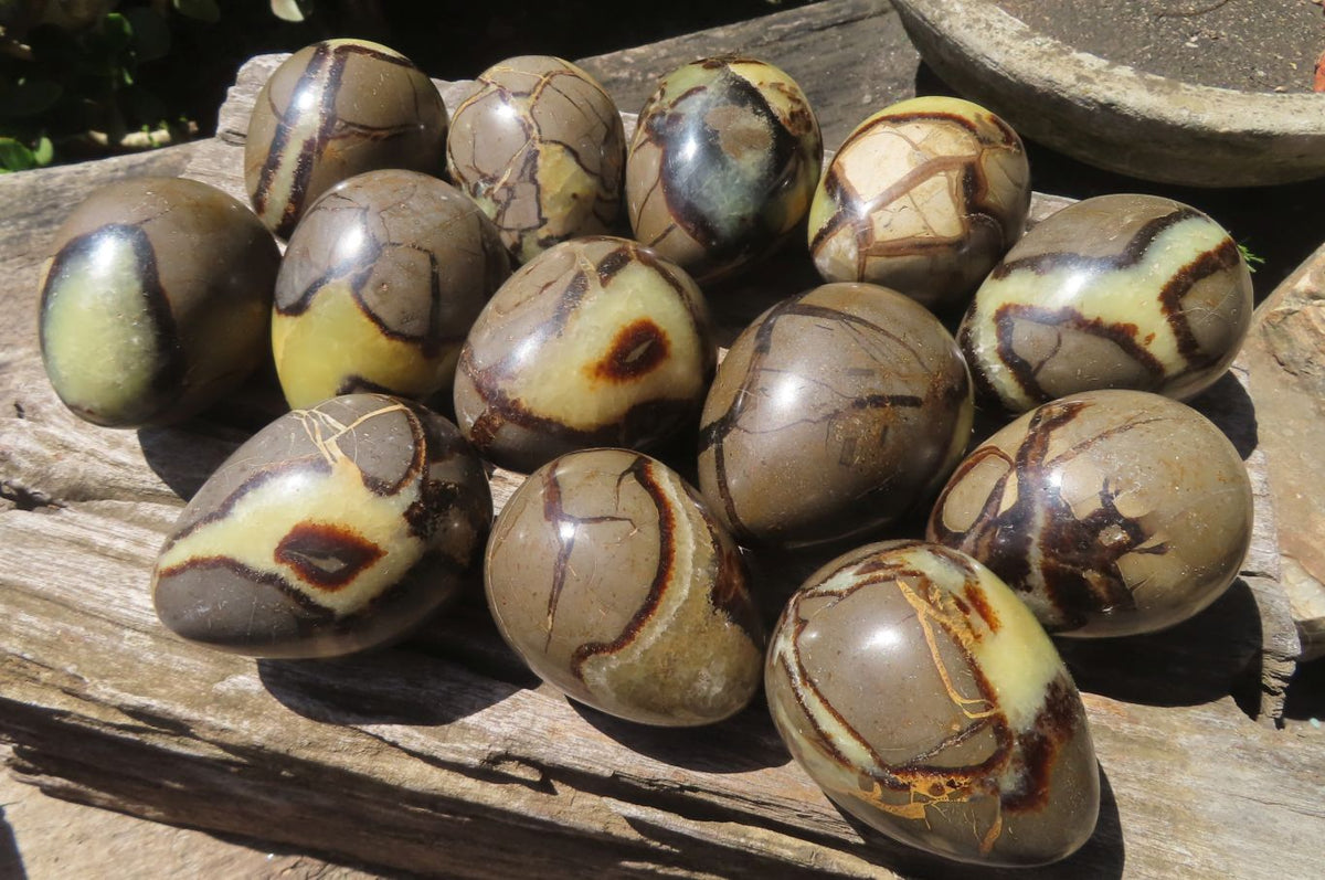 Polished Large Septerye Eggs - Sold Per Item - From Madagascar - Toprock Gemstones and Minerals 