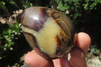 Polished Large Septerye Eggs - Sold Per Item - From Madagascar - Toprock Gemstones and Minerals 