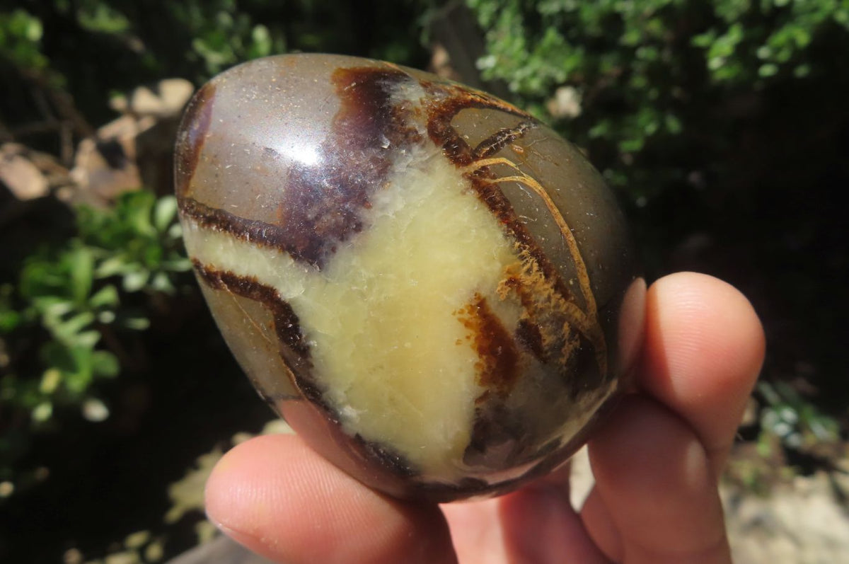 Polished Large Septerye Eggs - Sold Per Item - From Madagascar - Toprock Gemstones and Minerals 
