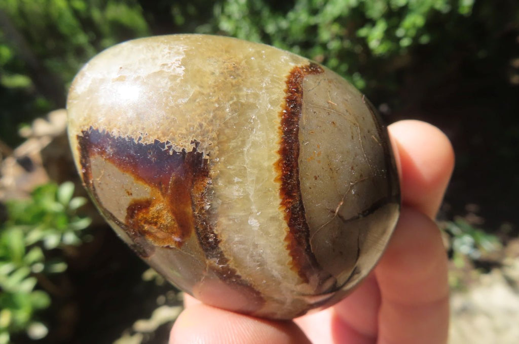 Polished Large Septerye Eggs - Sold Per Item - From Madagascar - Toprock Gemstones and Minerals 