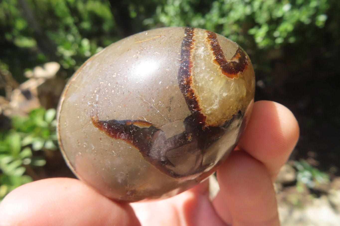 Polished Large Septerye Eggs - Sold Per Item - From Madagascar - Toprock Gemstones and Minerals 