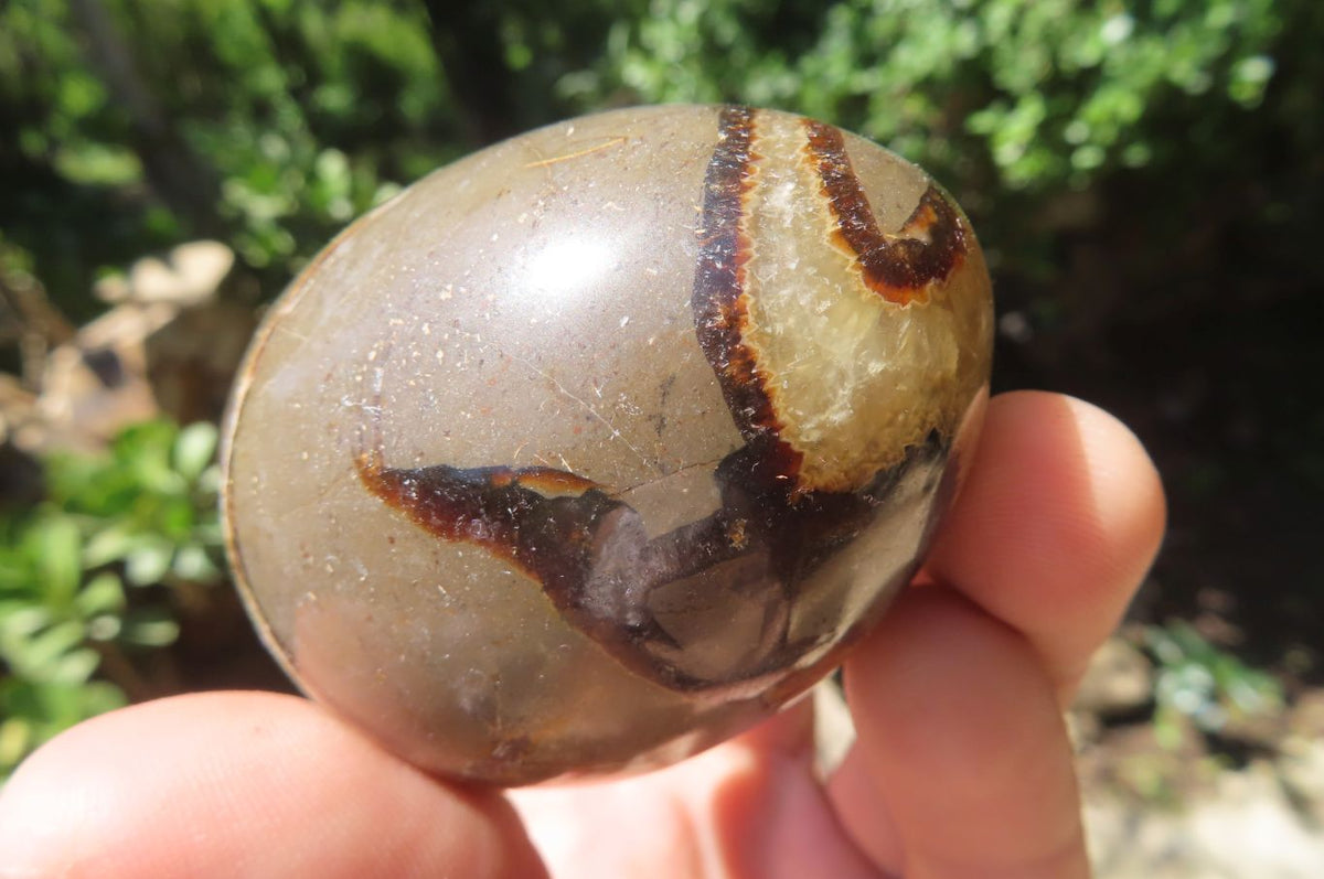 Polished Large Septerye Eggs - Sold Per Item - From Madagascar - Toprock Gemstones and Minerals 