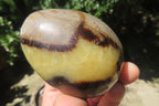 Polished Large Septerye Eggs - Sold Per Item - From Madagascar - Toprock Gemstones and Minerals 