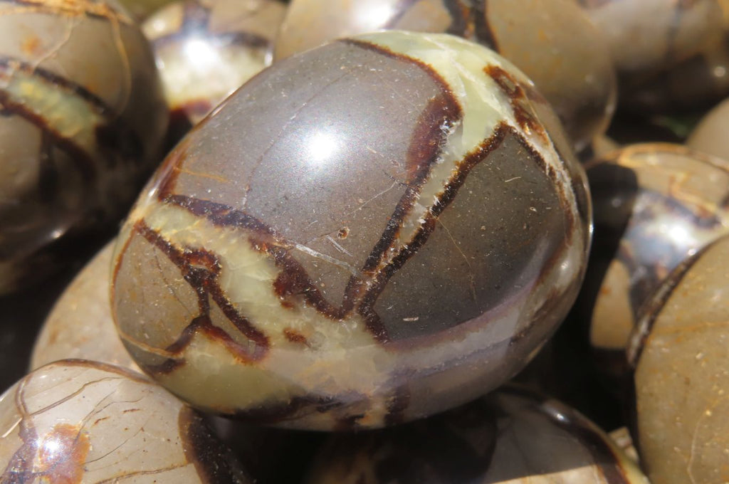 Polished Medium Septerye Eggs - Sold Per Item - From Madagascar - Toprock Gemstones and Minerals 