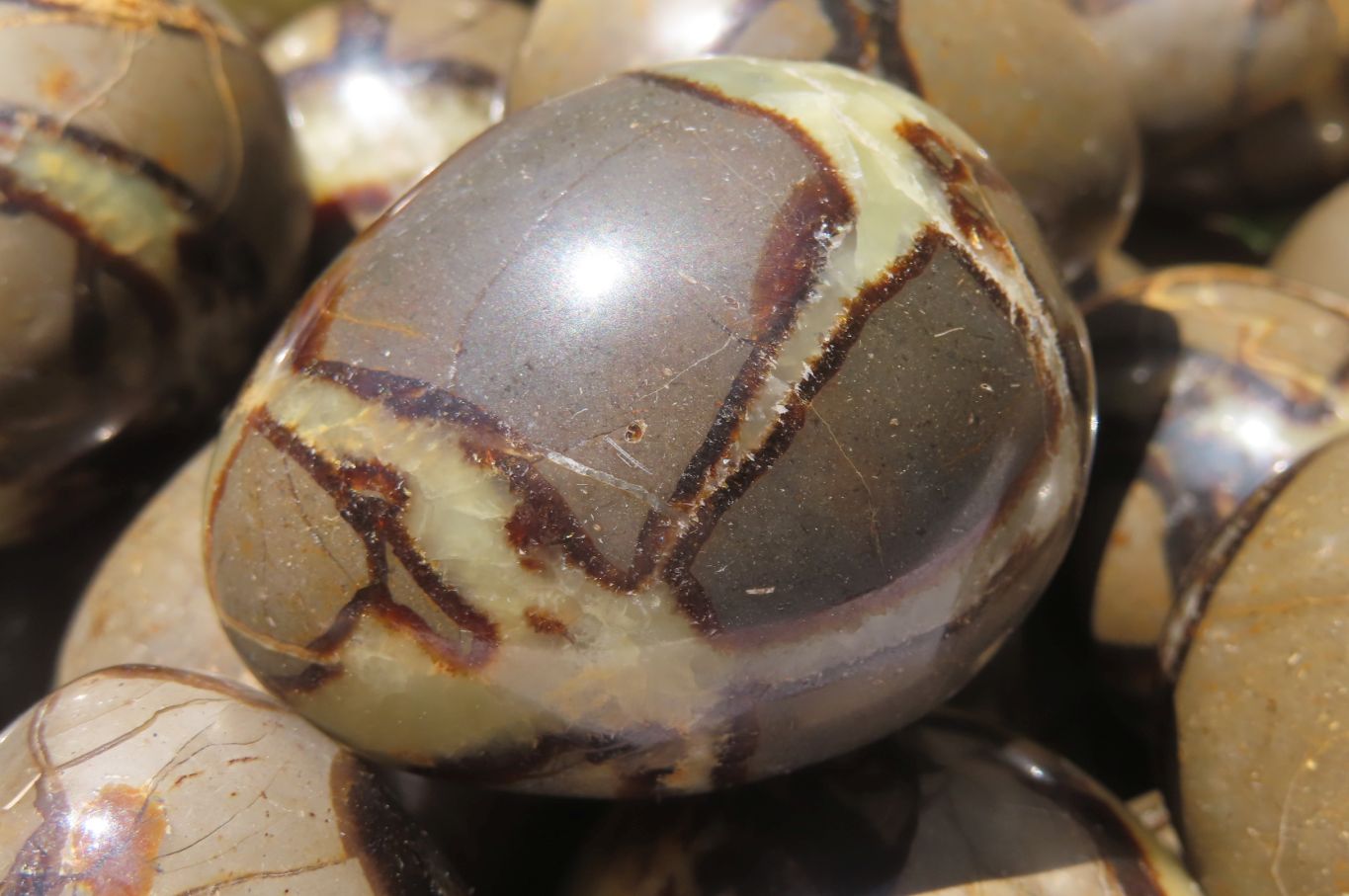 Polished Medium Septerye Eggs - Sold Per Item - From Madagascar - Toprock Gemstones and Minerals 