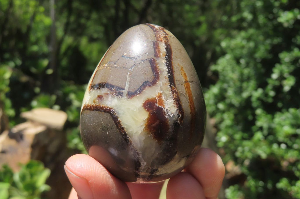 Polished Medium Septerye Eggs - Sold Per Item - From Madagascar - Toprock Gemstones and Minerals 