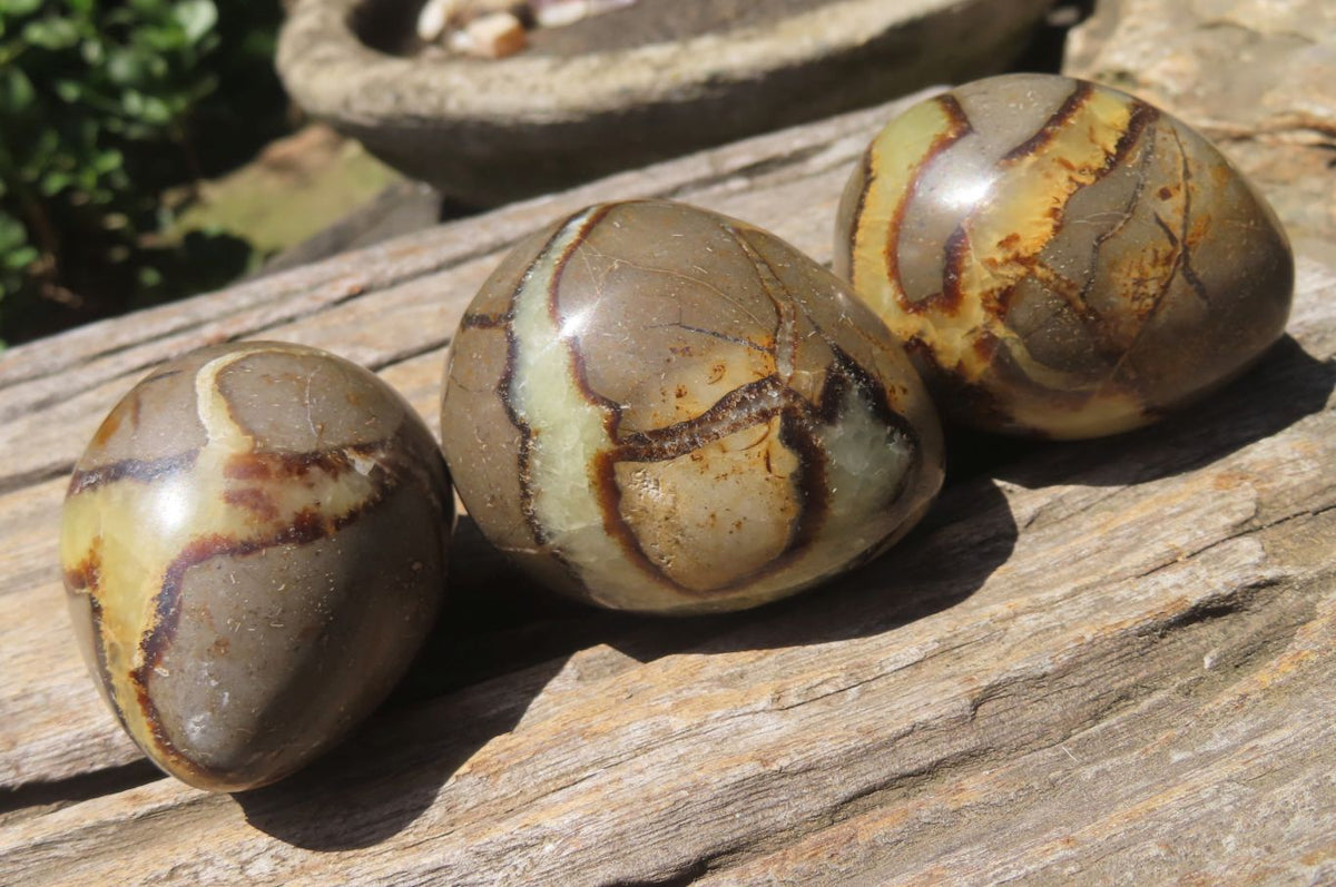 Polished Medium Septerye Eggs - Sold Per Item - From Madagascar - Toprock Gemstones and Minerals 