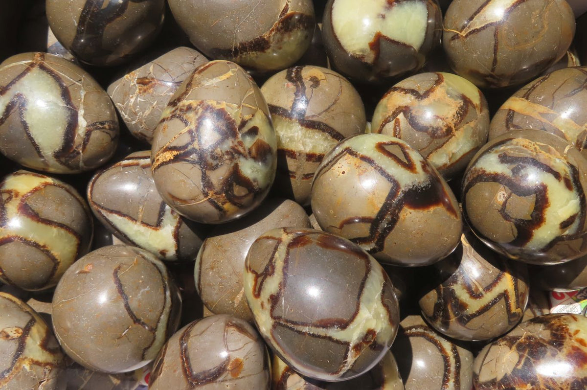 Polished Medium Septerye Eggs - Sold Per Item - From Madagascar - Toprock Gemstones and Minerals 