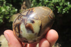 Polished Medium Septerye Eggs - Sold Per Item - From Madagascar - Toprock Gemstones and Minerals 