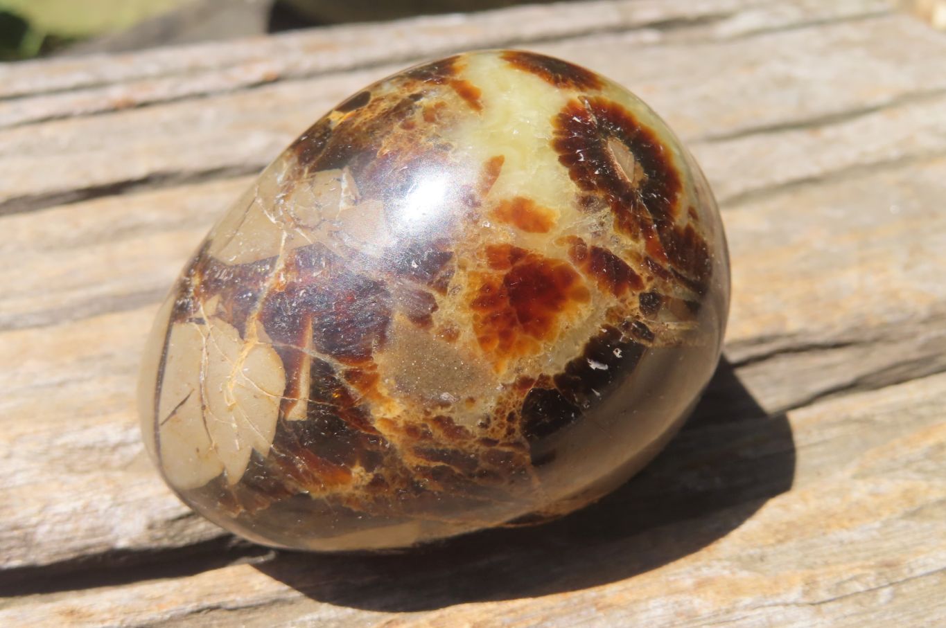 Polished Medium Septerye Eggs - Sold Per Item - From Madagascar - Toprock Gemstones and Minerals 