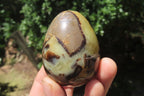 Polished Medium Septerye Eggs - Sold Per Item - From Madagascar - Toprock Gemstones and Minerals 