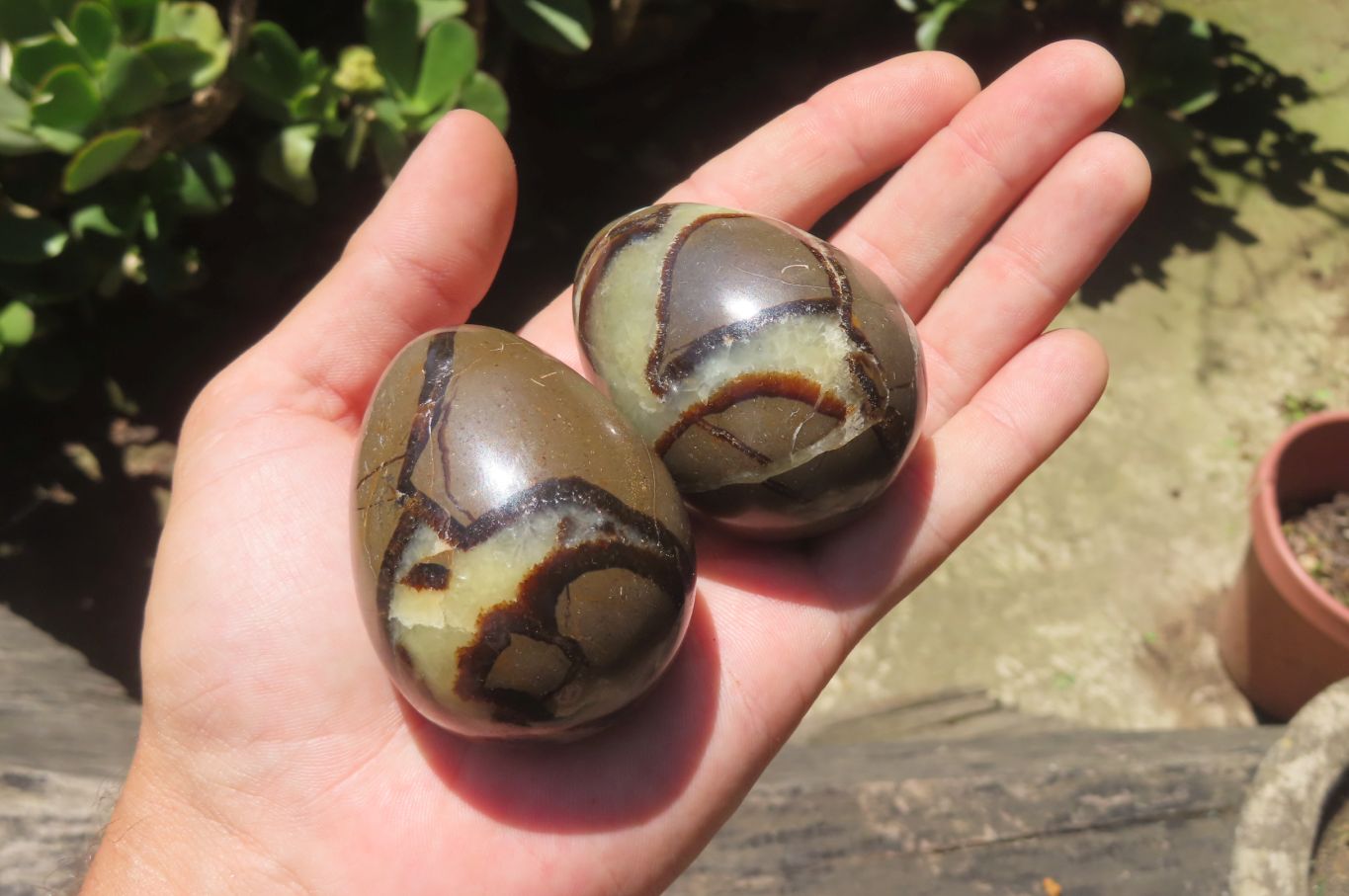 Polished Medium Septerye Eggs - Sold Per Item - From Madagascar - Toprock Gemstones and Minerals 
