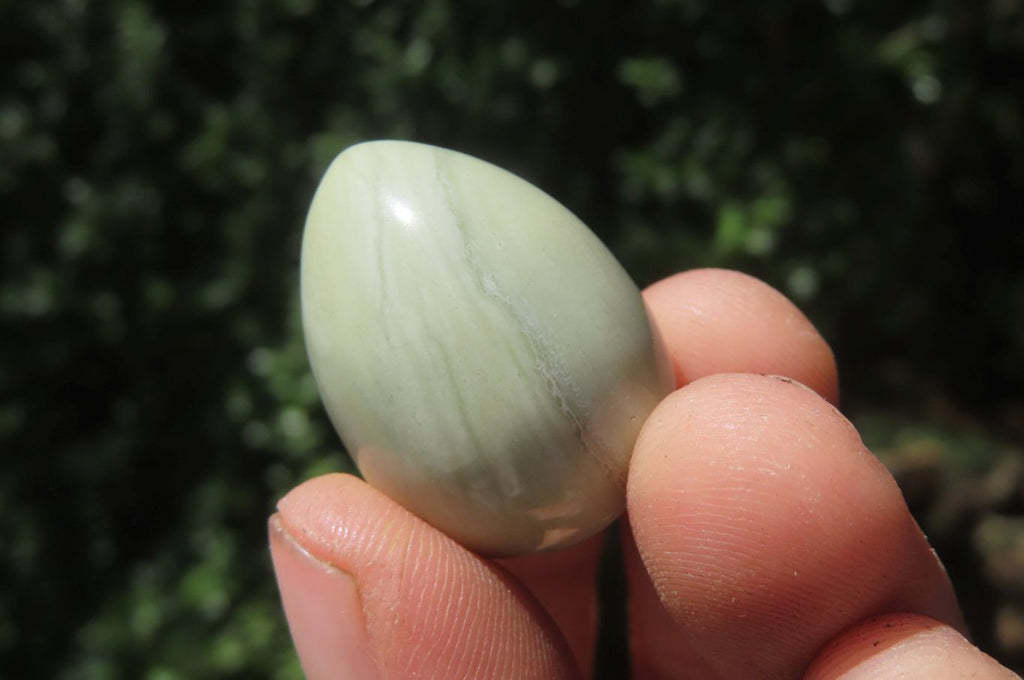 Polished Mixed Box Set of 12 Gemstone Eggs - Sold Per Box - From Southern Africa - Toprock Gemstones and Minerals 