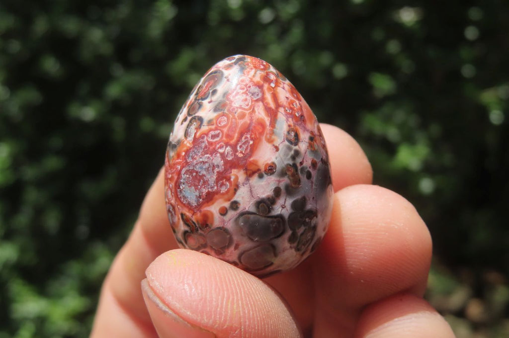 Polished Mixed Box Set of 12 Gemstone Eggs - Sold Per Box - From Southern Africa - Toprock Gemstones and Minerals 