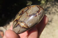Polished Septerye Gemstone Hearts x 10 From Madagascar