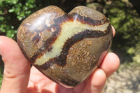 Polished Septerye Gemstone Hearts x 10 From Madagascar