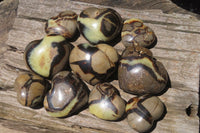 Polished Septerye Gemstone Hearts x 10 From Madagascar
