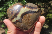 Polished Septerye Gemstone Hearts x 10 From Madagascar