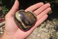 Polished Septerye Gemstone Hearts x 10 From Madagascar