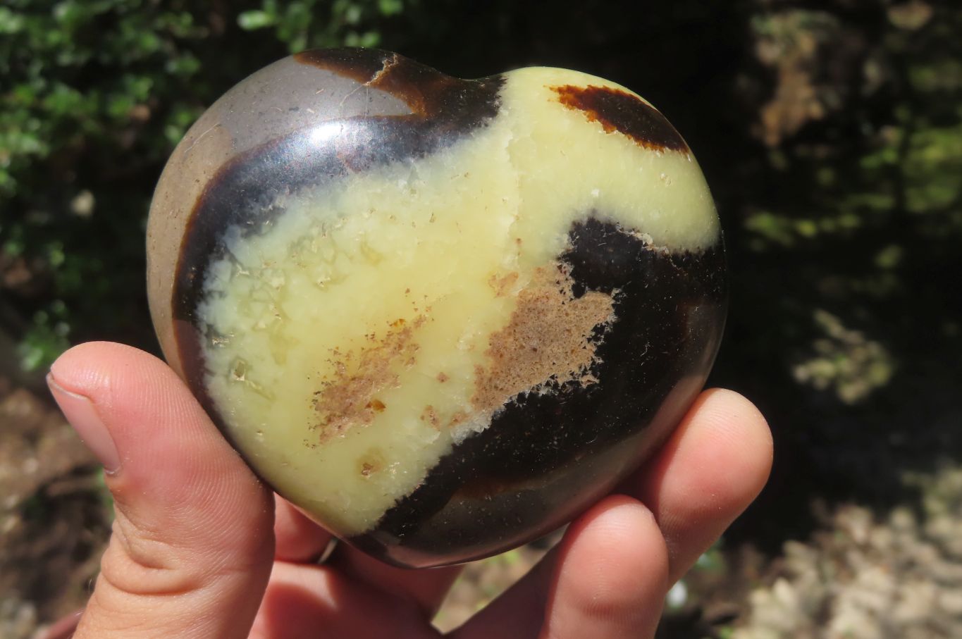 Polished Septerye Gemstone Hearts x 10 From Madagascar - Toprock Gemstones and Minerals 