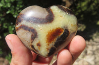 Polished Septerye Gemstone Hearts x 10 From Madagascar