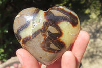 Polished Septerye Gemstone Hearts x 10 From Madagascar