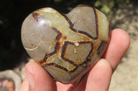 Polished Septerye Gemstone Hearts x 10 From Madagascar