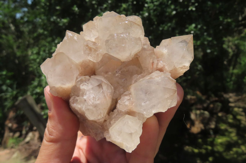 Natural Smokey Phantom Quartz Clusters x 2 From Luena, Congo - Toprock Gemstones and Minerals 