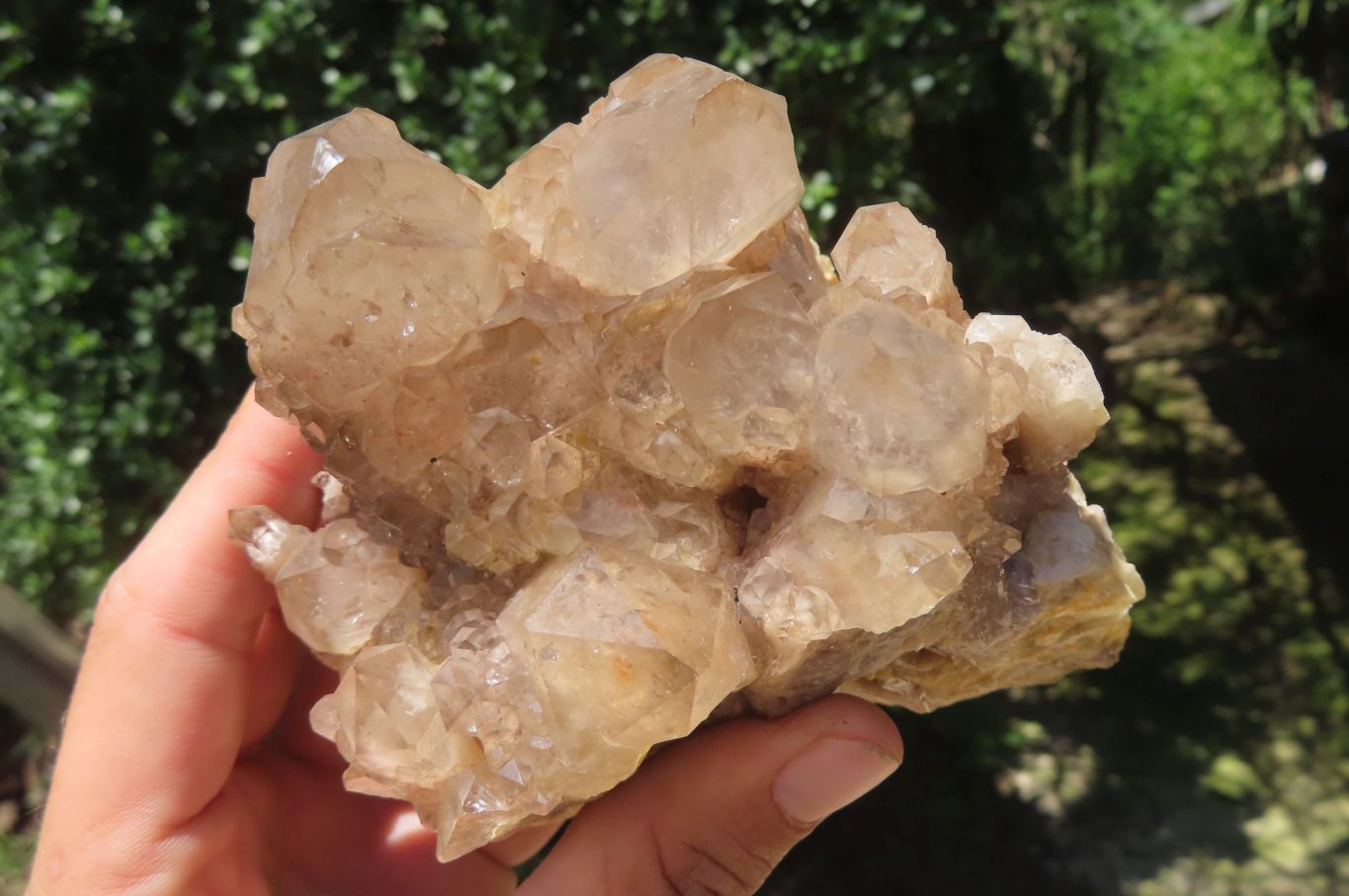 Natural Smokey Phantom Quartz Clusters x 2 From Luena, Congo - Toprock Gemstones and Minerals 