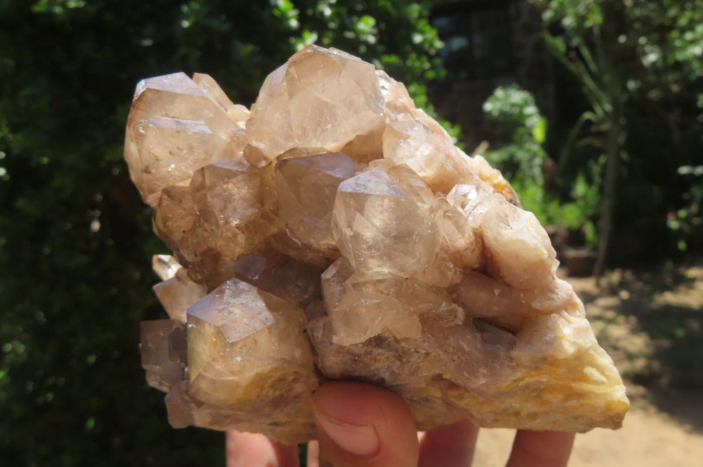 Natural Smokey Phantom Quartz Clusters x 2 From Luena, Congo - Toprock Gemstones and Minerals 