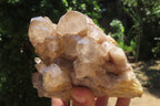 Natural Smokey Phantom Quartz Clusters x 2 From Luena, Congo - Toprock Gemstones and Minerals 