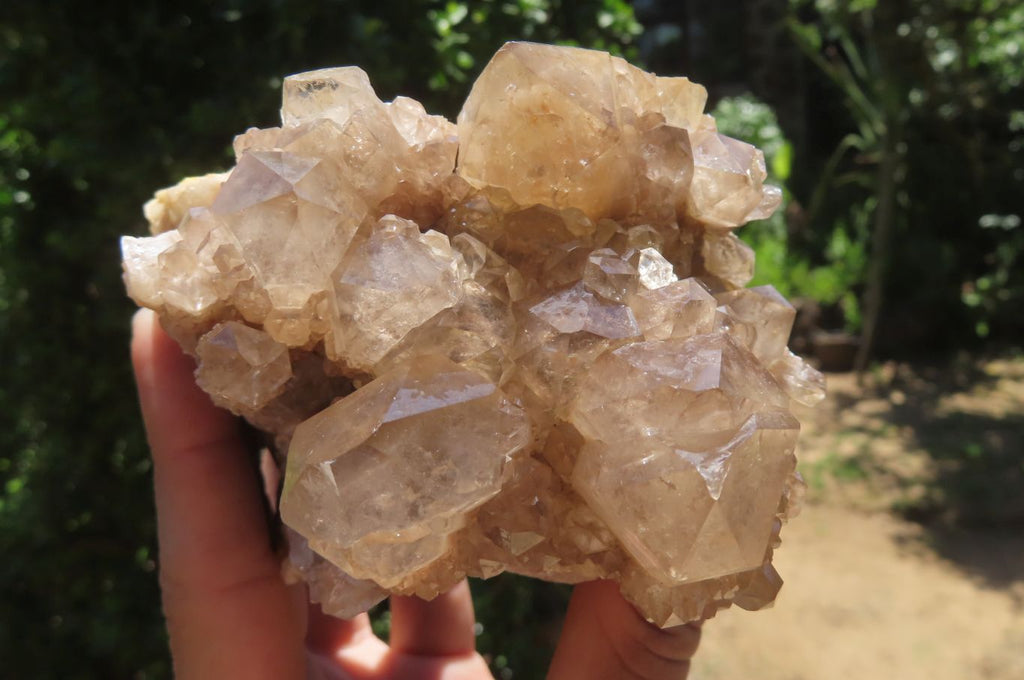 Natural Smokey Phantom Quartz Clusters x 2 From Luena, Congo - Toprock Gemstones and Minerals 