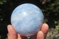 Polished Blue Calcite  Spheres - Sold per Item - From Madagascar - Toprock Gemstones and Minerals 