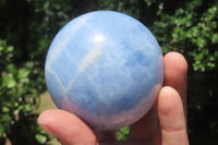 Polished Blue Calcite  Spheres - Sold per Item - From Madagascar - Toprock Gemstones and Minerals 