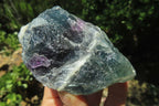 Natural Watermelon Fluorite Cobbed Specimens x 9 From Uis, Namibia - Toprock Gemstones and Minerals 