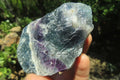 Natural Watermelon Fluorite Cobbed Specimens x 9 From Uis, Namibia - Toprock Gemstones and Minerals 