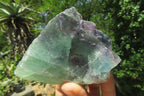 Natural Watermelon Fluorite Cobbed Specimens x 9 From Uis, Namibia - Toprock Gemstones and Minerals 