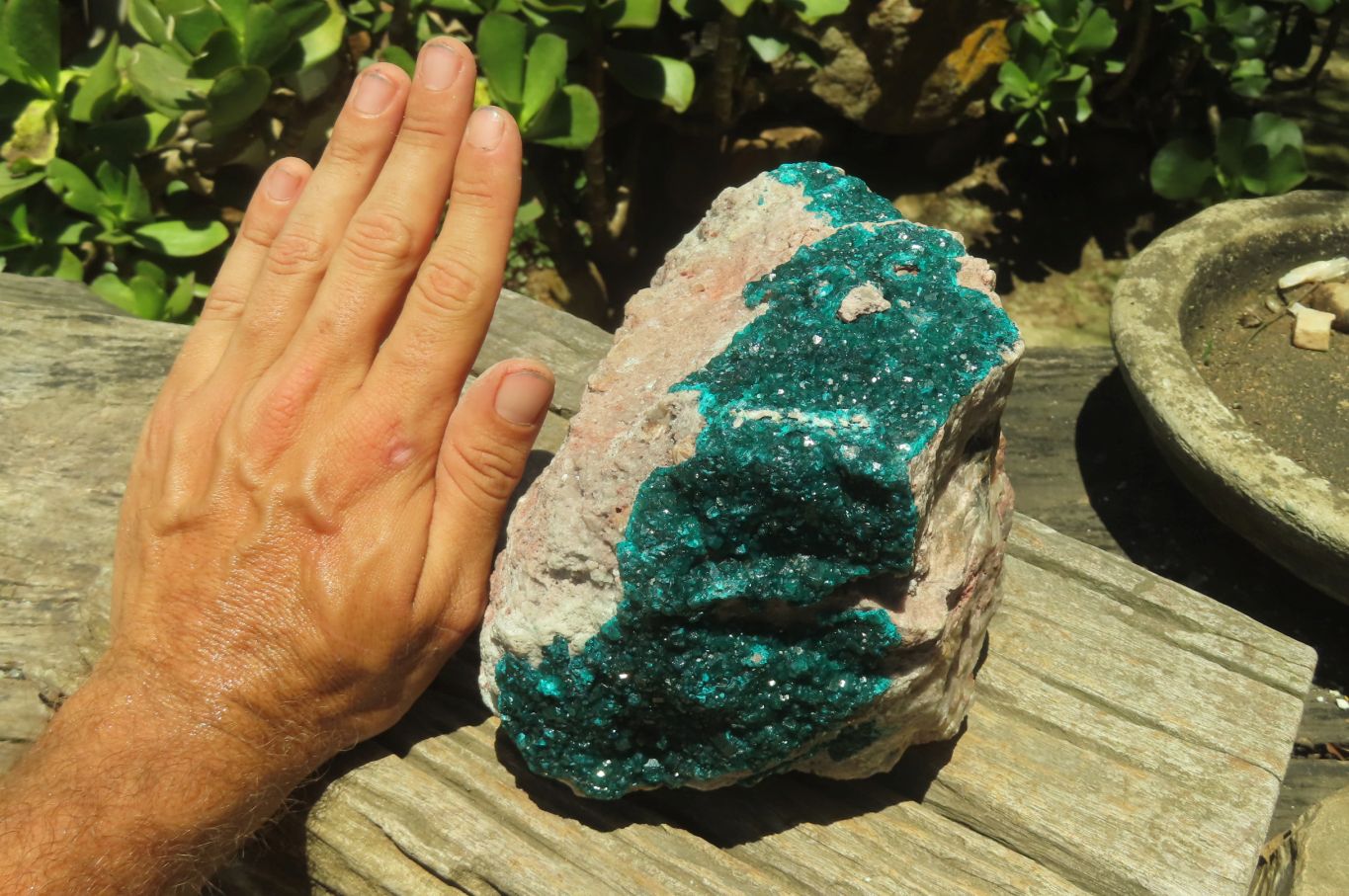 Natural Dioptase Cabinet Specimen x 1 From Congo - Toprock Gemstones and Minerals 