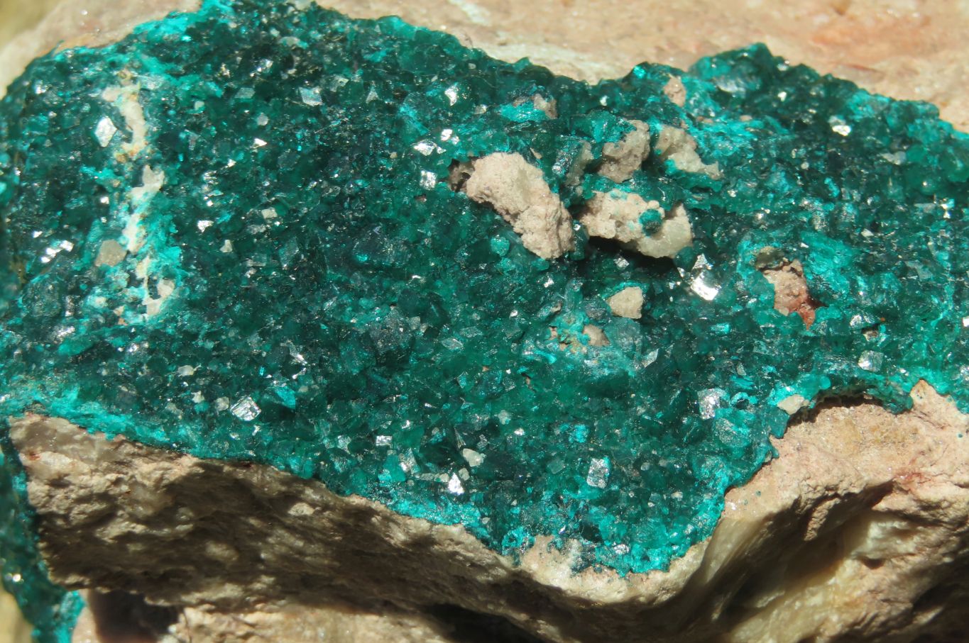 Natural Dioptase Cabinet Specimen x 1 From Congo - Toprock Gemstones and Minerals 