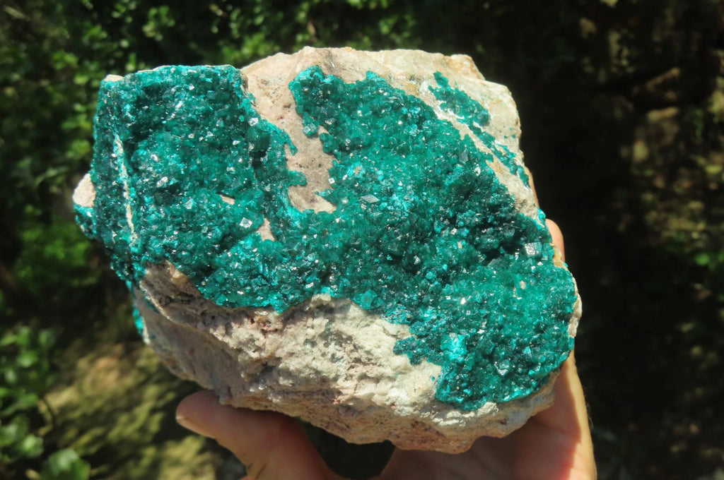 Natural Dioptase Cabinet Specimen x 1 From Congo - Toprock Gemstones and Minerals 