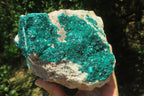 Natural Dioptase Cabinet Specimen x 1 From Congo - Toprock Gemstones and Minerals 
