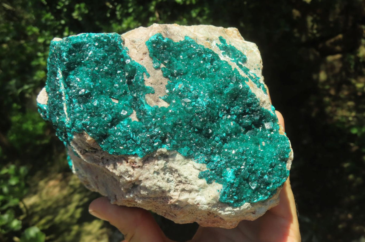 Natural Dioptase Cabinet Specimen x 1 From Congo - Toprock Gemstones and Minerals 