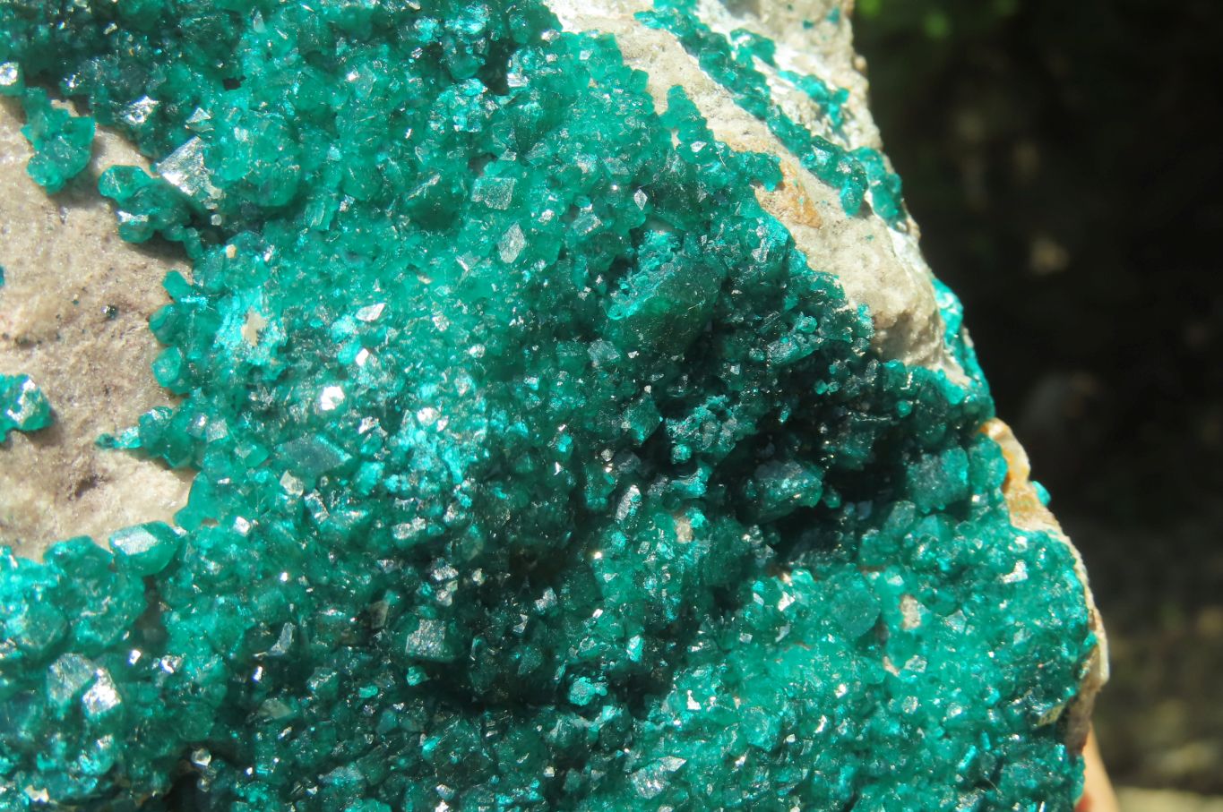 Natural Dioptase Cabinet Specimen x 1 From Congo - Toprock Gemstones and Minerals 