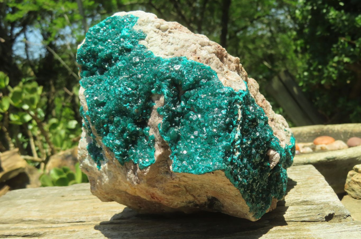 Natural Dioptase Cabinet Specimen x 1 From Congo - Toprock Gemstones and Minerals 