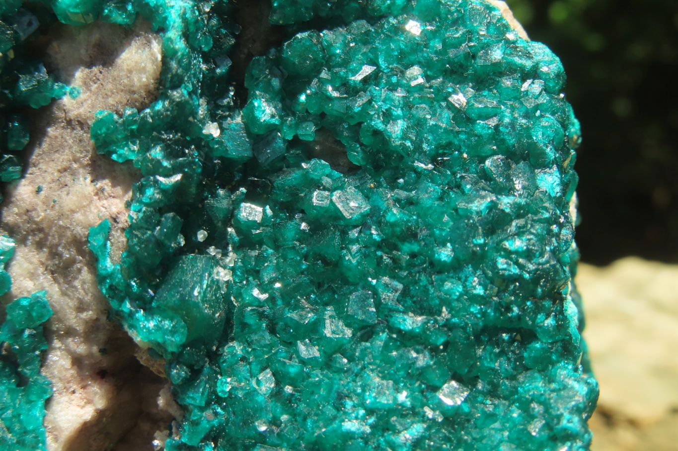 Natural Dioptase Cabinet Specimen x 1 From Congo - Toprock Gemstones and Minerals 