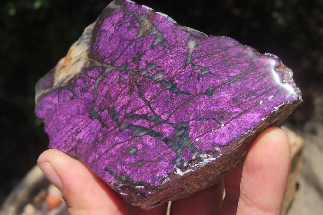 Polished On One Side Metallic Purpurite x 3 From Namibia - Toprock Gemstones and Minerals 